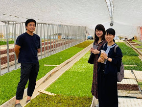 　大阪府和泉市にて、日本では珍しいヨーロッパ野菜を多品目栽培されているGreenGroove (ｸﾞﾘｰﾝｸﾞﾙｰｳﾞ）中島さんの農場に伺いました?※看板商品である「ヨーロピアンリーフミックス」は、今年6月に開催されたG20大阪サミットで提供されました?✨　GreenGrooveさんでは、低床ベットの水耕栽培という珍しい栽培法をされています。低床ベットで栽培することで、水の温度変化を抑えることができます。その結果、暑さに弱い葉物も夏場でも安定した栽培ができるそうです‼️また、植物本来の生命力を引き出す独自の栽培方法・システムにより、鮮度の持ちや栄養価が高く類似品と差別化されています。「ヨーロピアンリーフミックス」には色とりどりの約10種類の野菜が入っていますが、全て中島さんの農園で栽培されたものであるため、一般流通品のサラダミックスなどと違い、味のバラツキがありません。葉の味が濃いことも特徴で、オリーブオイルと少量の塩・黒コショウで和えて食べることがおすすめされています！　生産者中島さんのお話をお聞きして、生産者の思いや農作物の正しい知識や理解について、より正確に伝えていくために私たちがどのような活動をしていけば良いか考えていくことが重要だと強く感じました?✨〇●〇〇●〇〇●〇〇●〇〇●〇〇●〇〇●〇〇●〇〇●〇〇●〇〇●〇〇●〇〇●〇〇●〇GreenGroove  (https://www.greengroove.jp/)毎週開催のマルシェ（https://mitsui-shopping-park.com/odona/special/honmamon/template.html）場所：淀屋橋odona前（御堂筋沿い） 日時：毎週水曜日 14時～19時開催 〇●〇〇●〇〇●〇〇●〇〇●〇〇●〇〇●〇〇●〇〇●〇〇●〇〇●〇〇●〇〇●〇〇●〇　*:..｡o○☆*ﾟ¨ﾟﾟ･*:..｡o○☆*ﾟ¨ﾟﾟ･*:..｡o○☆･*:..｡o○☆*ﾟ¨ﾟﾟ･*:..｡o○☆*ﾟ¨ﾟﾟ･*:..｡o○住所：兵庫県芦屋市大原町9-1-806 株式会社然 （http://www.zenmarche.com/）http://fun-westjapan.com/【発行者】 fun実行委員会～栄養学生団体【fun】は、栄養士・管理栄養士養成コースの学生が社会や企業と コラボレーションしながら、社会で即戦力として通用する経験を積む場です。栄養士・管理栄養士を目指す大学生、専門学校生の就活にも有利です♪♪～･*:..｡o○☆*ﾟ¨ﾟﾟ･*:..｡o○☆*ﾟ¨ﾟﾟ･*:..｡o○☆･*:..｡o○☆*ﾟ¨ﾟﾟ･*:..｡o○☆*ﾟ¨ﾟﾟ･*:..｡