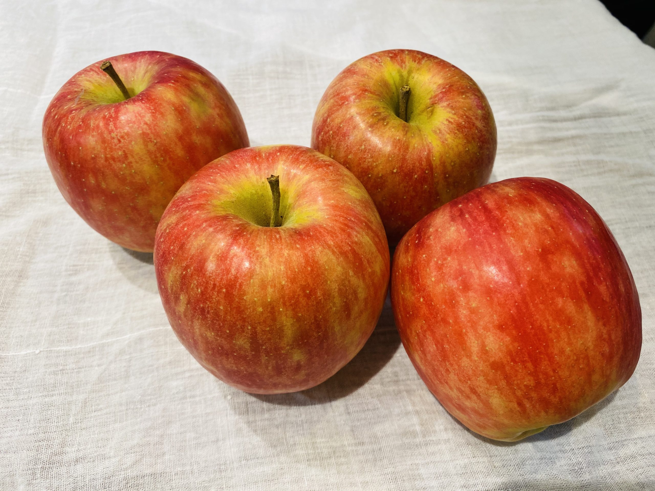 アップルパイやタルトタタンなど、りんごが使われたスイーツは沢山ありますよね！身近な果物として親しまれている「りんご」はいつでも手に入りますが、旬である10月〜12月頃が一番美味しく食べられます。もう過ぎてしまいましたが、11月5日は「いいりんごの日」なのです！これは、11月5日という日付が「いい(11)りんご(5)」という語呂合わせであることが由来なんだそうです。「毎日のりんご一個は医者の費用を節約できる」ということわざや「1日1個のりんごは医者いらず」ということわざはご存知でしょうか？この言葉はスペインやイギリスで生まれたことわざであるとされていますが、それほどりんごには健康に効果的な栄養素が豊富に含まれているということなのです！では、りんごの栄養素について、少し詳しく見ていきましょう♪りんご由来のポリフェノールである「りんごポリフェノール」はさまざまな成分が含まれています。その中でも約60%を占めているのが「プロシアニジン」です。りんごを切ると、切り口が茶色く変色することがありますが、これはポリフェノールが多く含まれているからなのです。果肉が酸化しないよう、プロシアニジンが果肉を保護することで変色します。プロシアニジンは強い抗酸化作用があり、余分な活性酸素を取り除く力が強く、劣化を遅らせる働きがあるので、シワやシミの予防にも効果が期待できます。また、コレステロール値を下げて血流を改善する効果もあると言われています！プロシアニジンは全ての品種に含まれていますが、その中でも「ふじ」や「王林」などの品種には、やや多く含まれているようです！更に、腸に良い働きが期待できる食物繊維の一種である「ペクチン」も多く含まれています。りんごに含まれているペクチンは水溶性の食物繊維で、善玉菌を増やして悪玉菌を減らす働きがあるため、便秘解消に効果が期待できます。りんごポリフェノールの同様に、抗酸化作用も期待できます。更に、コレステロールを包んで排出する働きもあるため、血液をサラサラにして動脈硬化を予防する効果もあると言われる優れものなのです。お肉や卵などコレステロールの高いものを食べた時は、食後にりんごを食べるのも良いですね！りんごポリフェノールやペクチンは、りんごの皮の部分多く含まれています。栄養素を効率よく摂取するには、皮をむかずにそのまま食べることが一番効果的です。ただ、皮の部分には農薬が残っている可能性もあるので、子供が食べる場合には十分注意が必要です！ペクチンは煮ても焼いても働くので、焼きりんごやコンポートにして食べるのもオススメです♪りんごの名前がつく栄養素として「リンゴ酸」がありますが、これはりんごと関係しているのでしょうか…？実は、リンゴ酸は初めてりんごから発見されたので、リンゴ酸という名前になったようです。やはり、りんごとは関係があったのですね！リンゴ酸はりんごをはじめ、果実や野菜などに含まれる有機酸の1つです。これには、食事をエネルギーに変換する｢クエン酸回路｣を活発にさせる働きがあるので、疲労回復効果が期待できます。運動後の補食としても良いですね！美味しいりんごといえば、蜜がたっぷりと入ったものを思い浮かべる方も多いのではないでしょうか？りんごの蜜の正体は「ソルビトール」という糖アルコールの一種なのです。葉で作られたデンプンを果実に送るために、水に溶けやすい糖アルコールに変えて果実へ届けられます。それがソルビトールなのです。しかし、ソルビトール自体は砂糖と比べると5割ほどの甘さなので、それほど甘くはありません。ソルビトールは果実の中でりんごの甘味となる果糖やショ糖に変換されます。 そして、りんごが完熟すると、ソルビトールは糖分に変換するのをやめてしまい、そのままの状態で蓄積されます。これがりんごの「蜜」の正体となります！蜜入りのりんごが美味しいと言われるのは、完熟した状態で収穫されるからなのです。 蜜入りのりんごができるポイントは、品種と収穫時期にあり、蜜が入りやすいものとそうではないものに分かれます。蜜の入りやすい品種としては「ふじ」「北斗」「レッドゴールド」などがあります。一方、「王林」や「ジョナゴールド」などは完熟しても蜜が入りません。蜜入りのりんごはもちろん美味しいですが、品種によっては、糖度が高くて美味しいものでも蜜が入っていないものもあります。蜜が入っているりんご＝甘くて美味しいりんご　というわけではないのです！りんごは美味しいだけでなく、他の果物の成熟を促す働きもあります！これはりんごが発する「エチレンガス」によるもので、エチレンガスは別名、成熟ホルモンとも呼ばれます。りんごは果物の中でもエチレンガスをたくさん発生させるので、りんごと同じビニール袋に熟していない果物を入れて保存しておくと、早く食べ頃を迎えることができます！りんご以外にも、メロン、柿、桃などは、エチレンの発生量が多いので、まだ青いバナナや、かたいキウイフルーツなどと一緒に袋に入れておくと、追熟が進みます。ケーキを冷蔵保存する場合も、カットしたりんごをケーキの箱に入れておくと、翌日もケーキはパサつかずにしっとり食べられるそうです。なんと日本では、約2000種類ものりんごが栽培されています！赤、青、黄色と色もカラフルで様々な種類のりんごがありますが、生でそのまま食べるなら、果汁が多く甘味のある「ふじ」がおすすめです。アップルパイなどお菓子作りに使うなら、水分が少なく煮崩れしにくい「紅玉」が最適です！品種によって食べ比べをするのも楽しそうですね！りんごはお菓子やサラダにはよく使われるので、今回はりんごとお肉を合わせたお料理をご紹介します♪【チキンのアップルソースソテー】<材料>(2人分)鶏もも肉…小2枚(約200g)りんご…１個レモン汁…少々固形スープの素…1/4個塩・こしょう…少々サラダ油…大さじ1/2砂糖…小さじ1/2水…1/3カップ<作り方>①鶏もも肉に塩・こしょうを少々をふる。②りんごは芯(しん)を除き、1/8のくし形に切る。③フライパンに油を熱し、鶏もも肉の皮を下にして弱火で約５分焼き、皮がカリッとしたら返す。④あいているところにりんごを入れて約10分焼く。⑤鶏もも肉に火が通ったらレモン汁をふる。⑥鶏もも肉とりんごを取り出して余分な脂を捨て、砂糖を加えて火にかける。⑦カラメル状になったらスープの素と水を加え、塩・こしょうを少々加え調味してソースを作る。⑧鶏もも肉とりんごを盛り、⑦のソースをかけて完成♪りんごは生で食べるのはもちろん、お料理やお菓子など様々な使い方ができます！りんごの健康パワーで、冬を乗り越えていきましょう！*:..｡o○☆*ﾟ¨ﾟﾟ･*:..｡o○☆*ﾟ¨ﾟﾟ･*:..｡o○☆･*:..｡o○☆*ﾟ¨ﾟﾟ･*:..｡o○☆*ﾟ¨ﾟﾟ･*:..｡o○住所：兵庫県芦屋市公光町4-20-303　　　株式会社然 （http://www.zenmarche.com/）http://fun-westjapan.com/【発行者】 fun実行委員会～栄養学生団体【fun】は、栄養士・管理栄養士養成コースの学生が社会や企業と コラボレーションしながら、社会で即戦力として通用する経験を積む場です。栄養士・管理栄養士を目指す大学生、専門学校生の就活にも有利です♪♪～･*:..｡o○☆*ﾟ¨ﾟﾟ･*:..｡o○☆*ﾟ¨ﾟﾟ･*:..｡o○☆･*:..｡o○☆*ﾟ¨ﾟﾟ･*:..｡o○☆*ﾟ¨ﾟﾟ･*:..｡